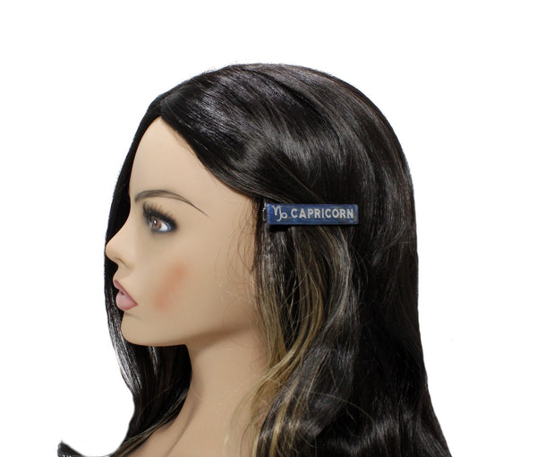 Personalized zodiac hair clip